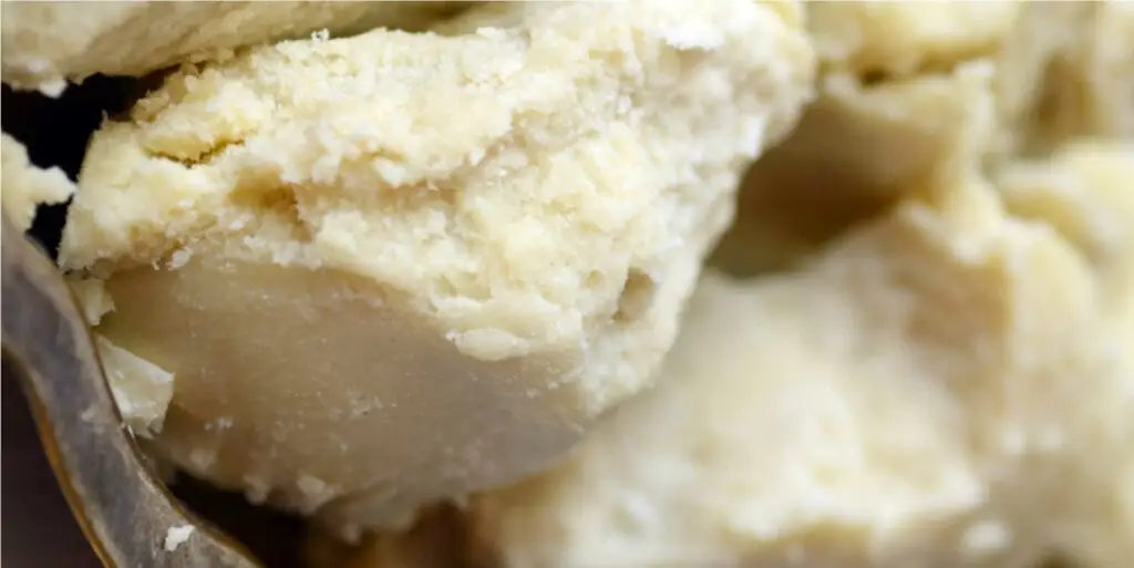 Texture crémeuse du beurre de karité brut
